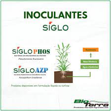 INOCULANTE LIQUIDO SIGLO AZP - CX 15 DOSES